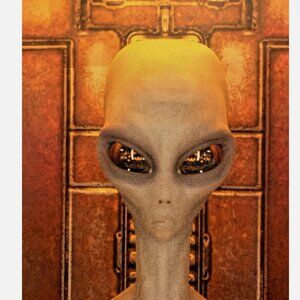 Alien Portal (Door) Mural Removable Decal 24” X 80” Halloween, Area 51, UFO